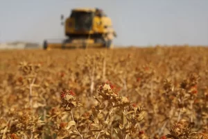 Görme Engelli Ebubekir Orhan, 10 Yıldır Ailesine Tarımla Bakıyor